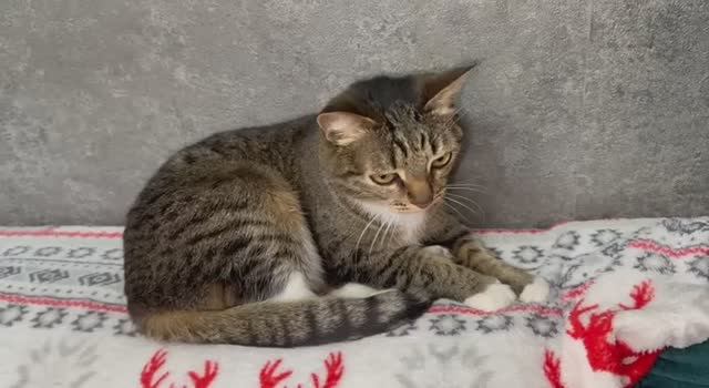 С утра пораньше перекусили, Кузя как всегда впереди всех.