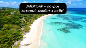 ЗАНЗИБАР - остров, который влюбит в себя!
