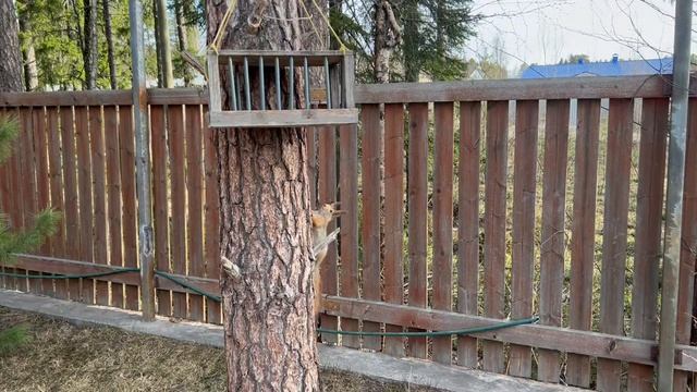 Мадам не даёт работать