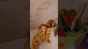 пов: вы пишите ВПР по всем предметам 3/3 (финал)