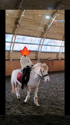 конный спорт 🏇