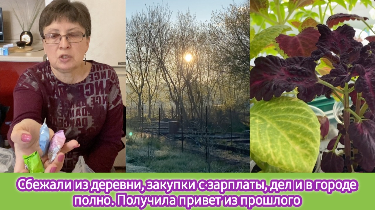 Сбежали из деревни, закупки с зарплаты, дел в городе полно. Прилетел привет из прошлого