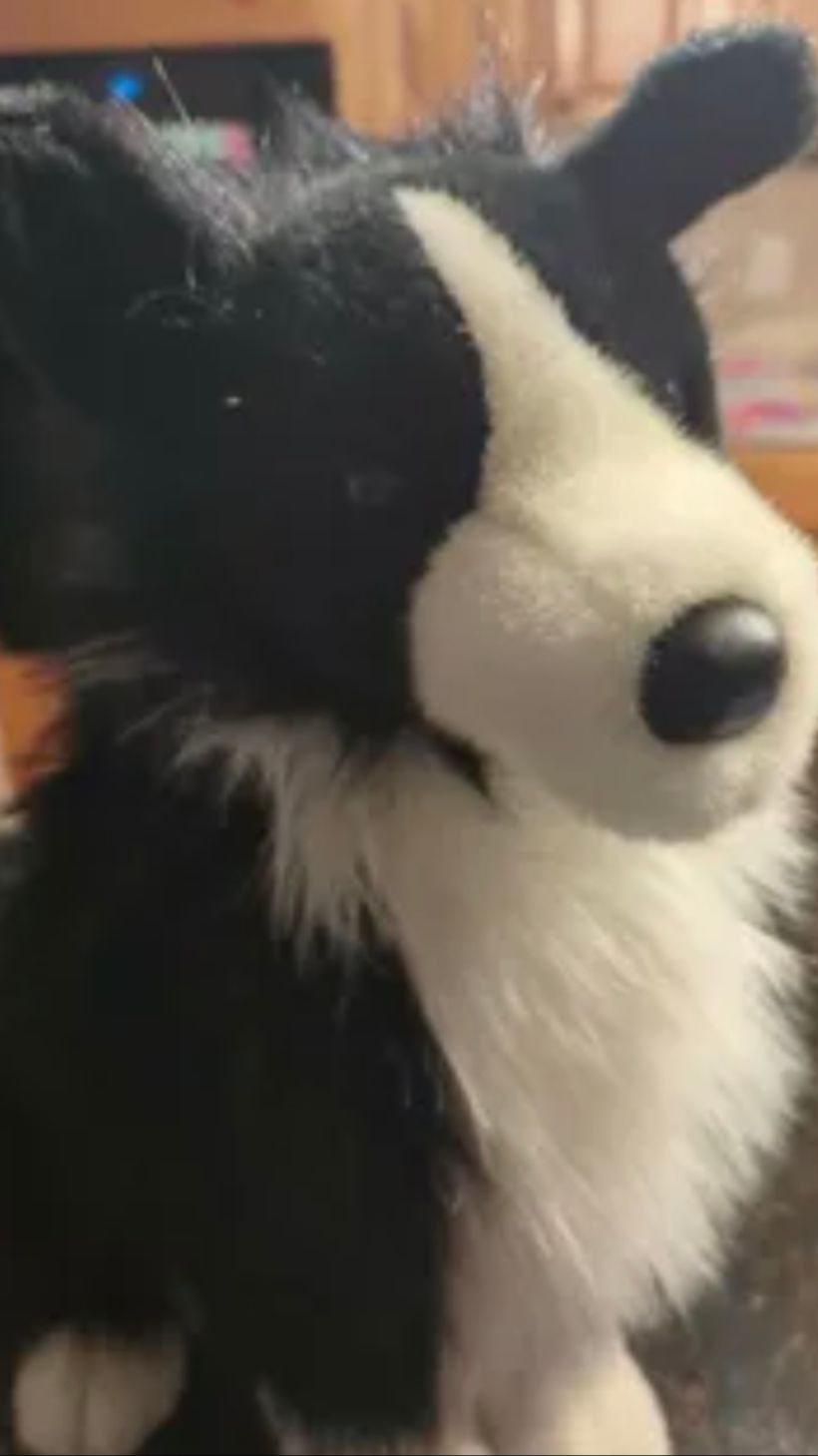 Пипец🥲😅😲😲😲