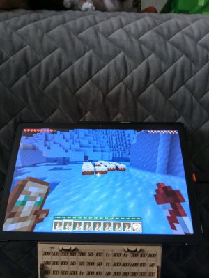 играю в майнкрафт на элитрах.
