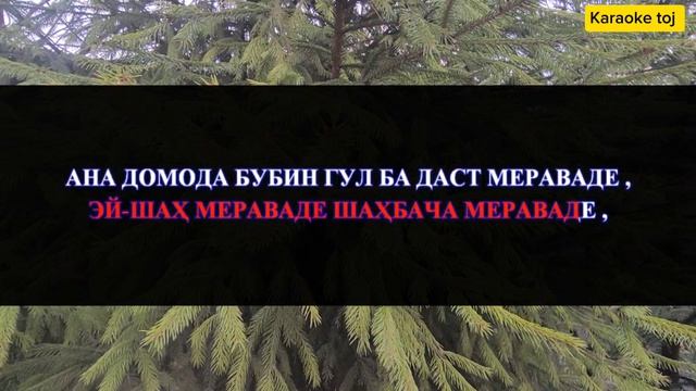Караоке минуси Шах меояде 2 Туёна   минуси туена Karaoke Toj Taj Minus Tj Tuyona Tojiki точики