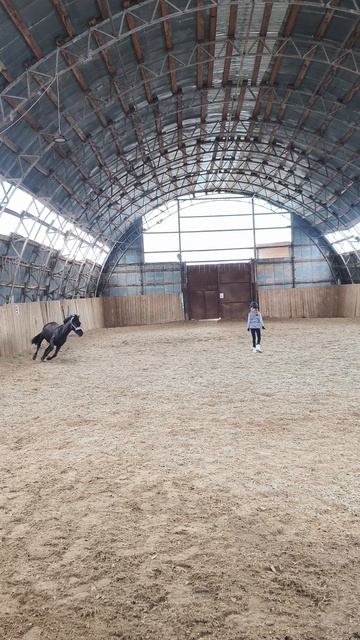 Наоми не разрешает Василисе уходить с манежа, носится вокруг нее и пугает собой.