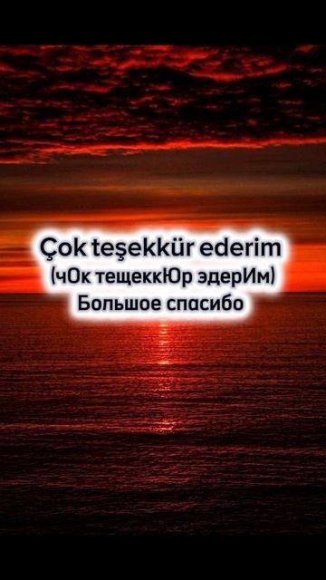 Благодарим на турецком языке 🇹🇷💙 как сказать спасибо на турецком языке