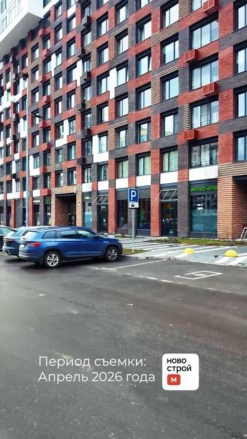 Левел Лесной