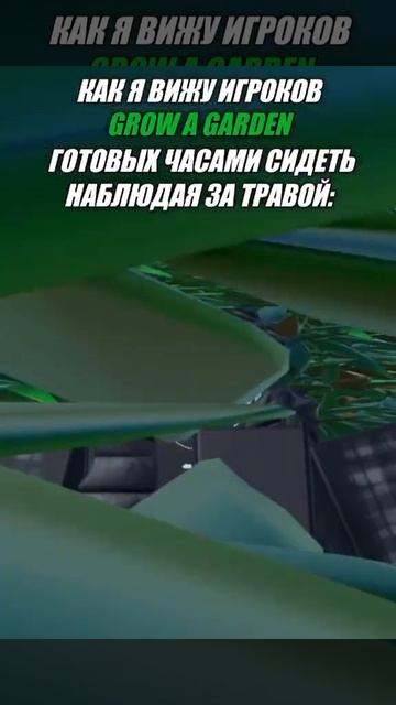 ахахахаххахаха