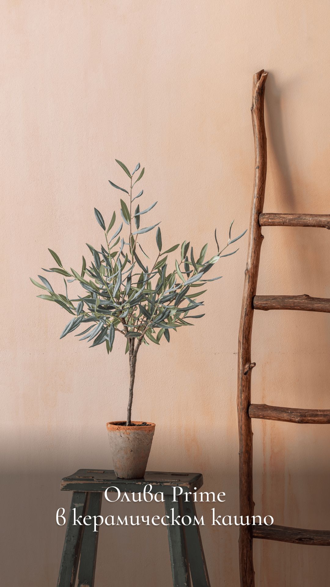 Совершенство в миниатюре