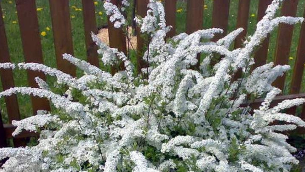 Поговорим  по дороге на работу.