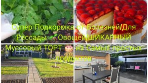 Vlog 🇩🇪 Dünger/Наша жизнь в Германии/Любимая Дача 🏕Супер Подкормка из Молока для Овощей и  рассад