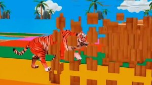 🐵🐵🦝🐱🐱🐱🐱