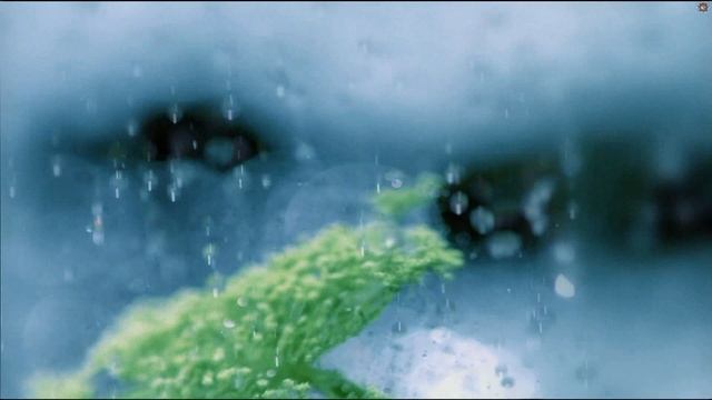 ПОРТРЕТЫ АННЫ ЖИЗНЕВСКОЙ , МИНСК , ДИРЕКТОР СВАДЕБНОГО ЦЕНТРА