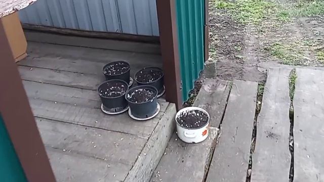 ВЕСНА -  РАБОТА НЕСКОНЧАЕМА🧹ПОСЛЕ РАБОТЫ НА ДЕНЬ РОЖДЕНИЯ🌹