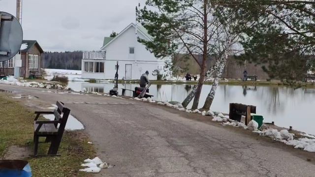 поимка форели на фидер