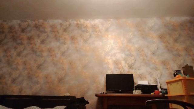 овчарка волк не человек-кот