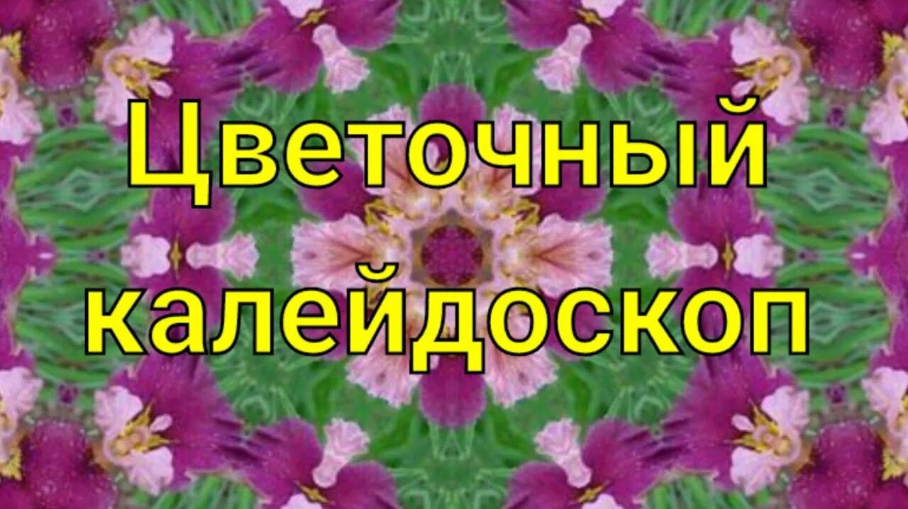 СП «Цветочный калейдоскоп» с Ириной Роговой. Отчет за апрель .