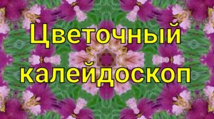 СП «Цветочный калейдоскоп» с Ириной Роговой. Отчет за апрель .
