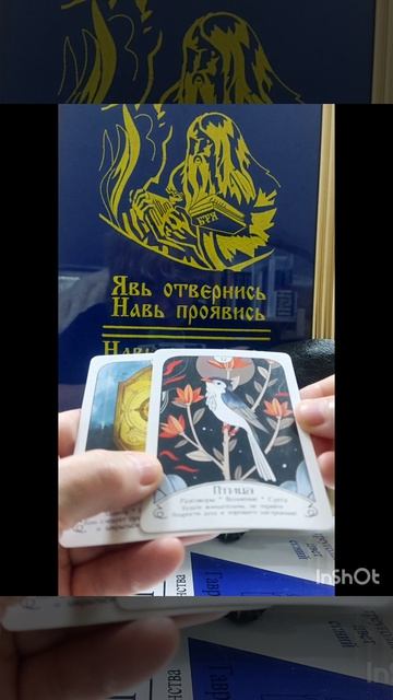 Совет дня🐸 30 апреля🙋 #новинка#психология#эзотерика#интересное#