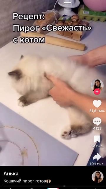 русский 🇷🇺 язык 👅