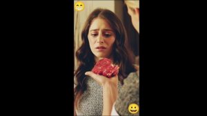 Суррогатная мать для альфы, с 16-19 серии