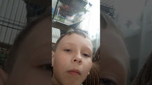 размазывает о доуи