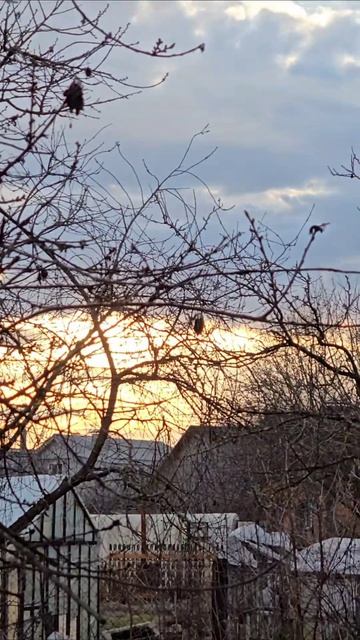 Шашлык еда шашлык мясо сердечки