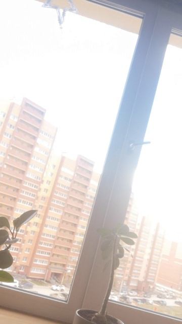 VID_20260430_120141.mp4