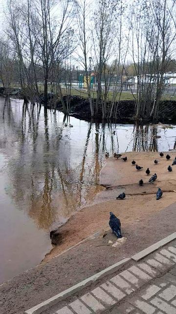 30.04.26г.Подмосковье.