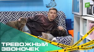 Тревожный звоночек. В Челябинской области резко вырос спрос на антидепрессанты