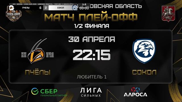 ОБЗОР / ПЧЁЛЫ - СОКОЛ / 30.04.26 / ОХЛ МОСКВА / ДИВИЗИОН ЛЮБИТЕЛЬ 1