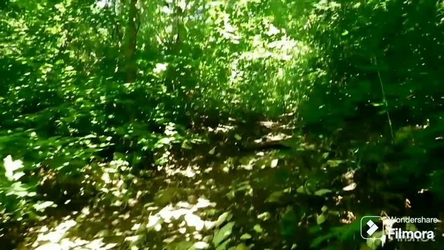 Приятные воспоминания прошлых лет, когда над тобой чистое и мирное небо , гора Безумная 638 метров