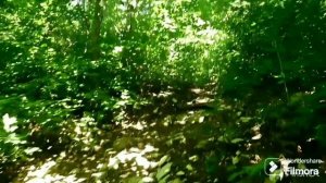 Приятные воспоминания прошлых лет, когда над тобой чистое и мирное небо , гора Безумная 638 метров