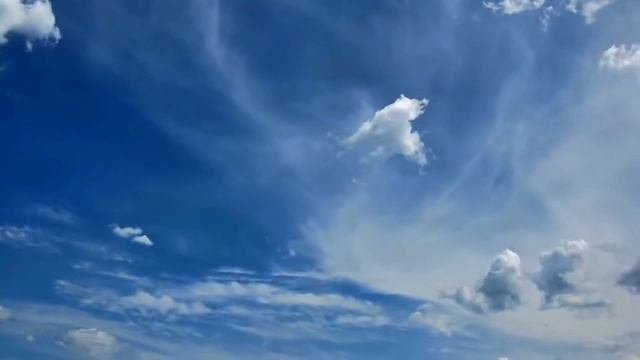 Казачья доля муз. исп Анатолий Ушанов. Стихи  и монтаж видео Виктор Поживин