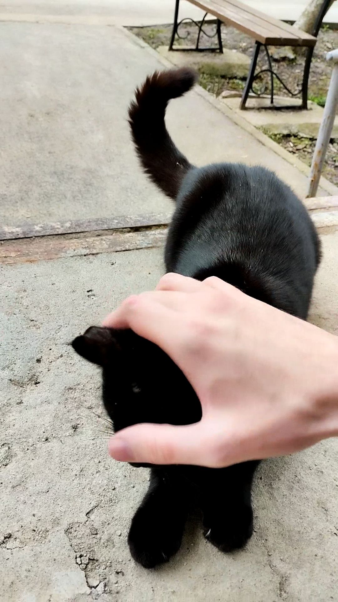 PXL_20260429_094719531