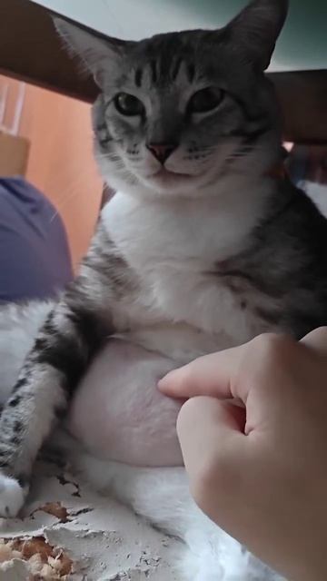 Комок нервов