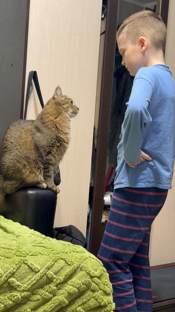 Когда кот нахулиганил. 😂