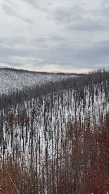 До перевала Солнечного км 10 9-й день путешествия в Тыву.
