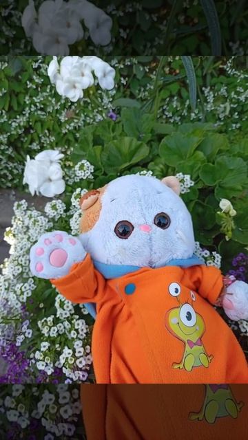 Лили передаёт вам привет👋💫