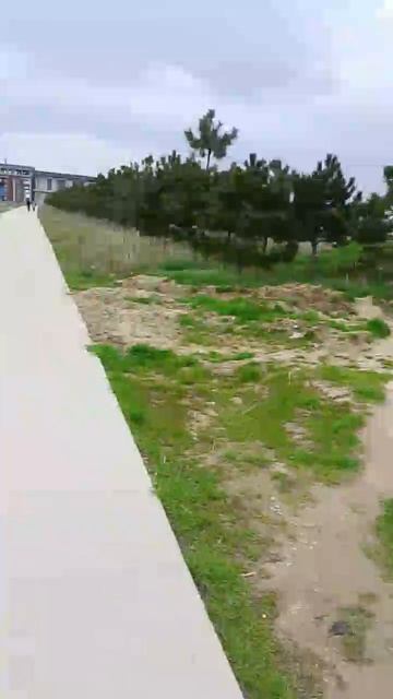 Дата: апреля 2026 года