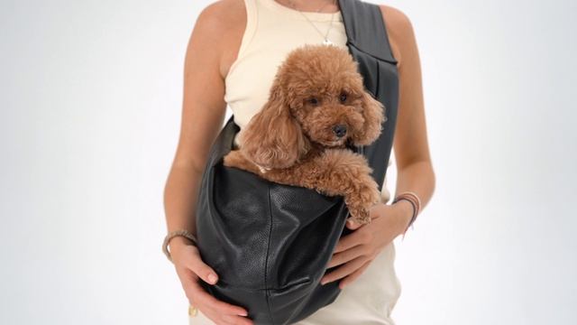 Сумка переноска слинг для собак Tesoro Collezione