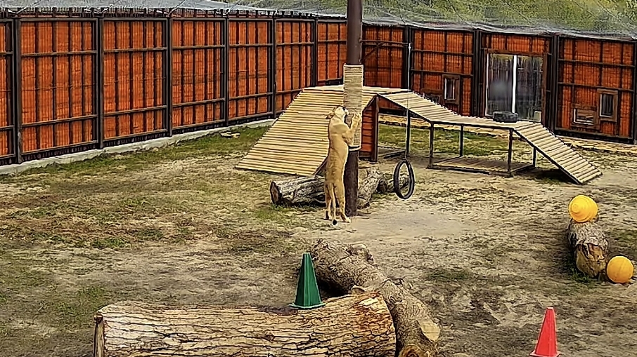 Киара тоже проверила качество