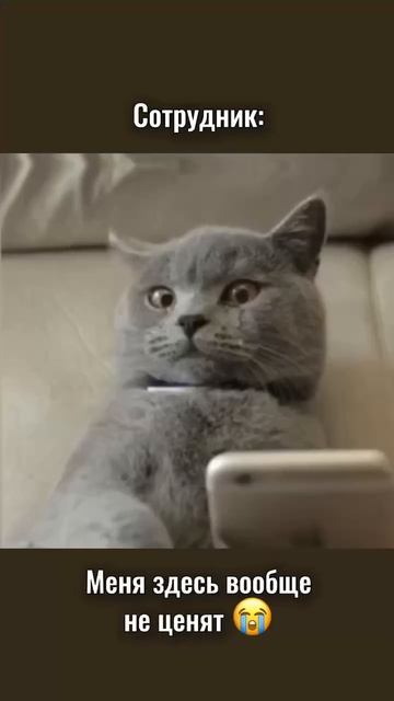 Так только с зумерами бывает?