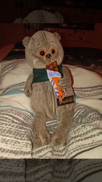 Чем ужинает басик *я ему щапрещаю ужинать  шоколадом, но он потихоньку, потихоньку, потихоньку...