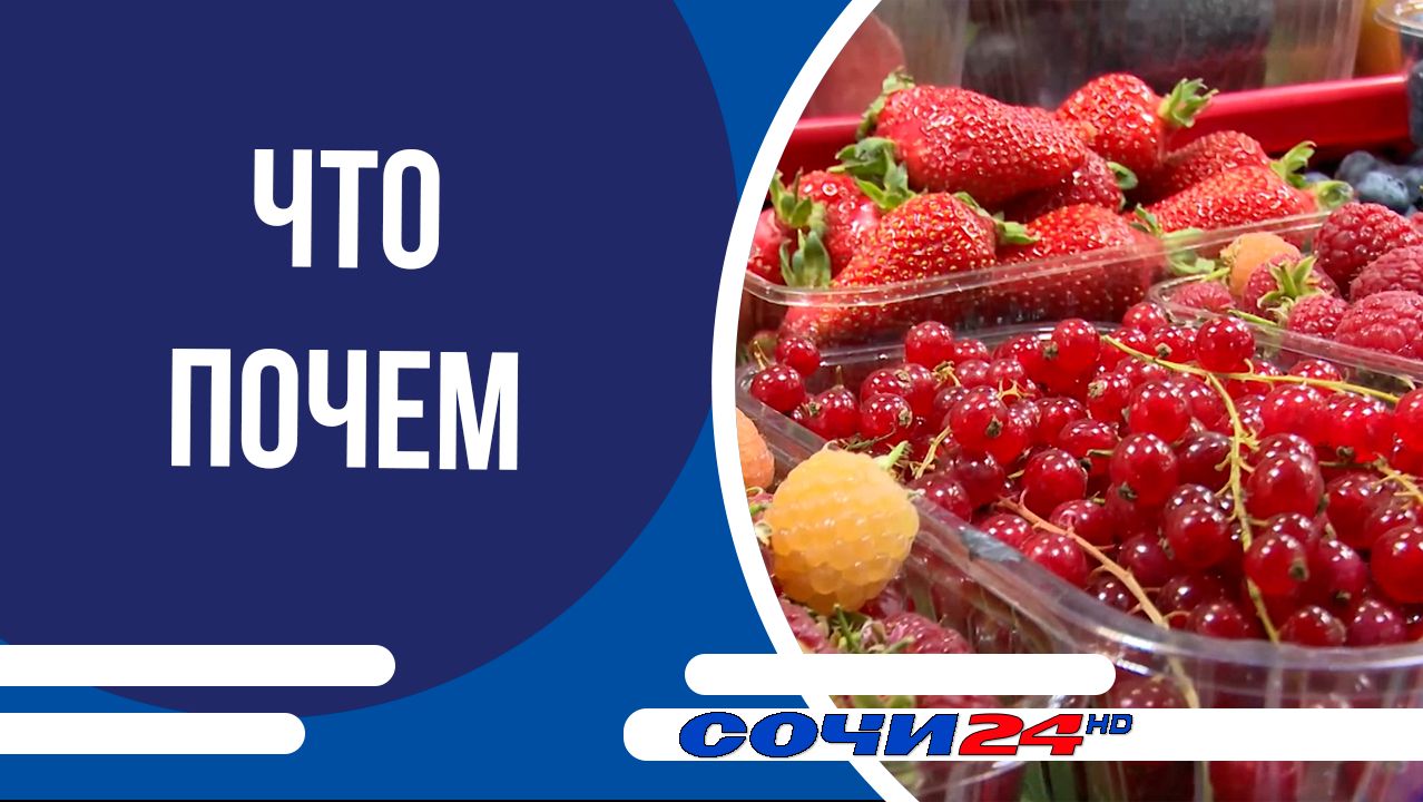 ЧТО ПОЧЕМ: сколько стоят ягоды на Центральном рынке Сочи?
