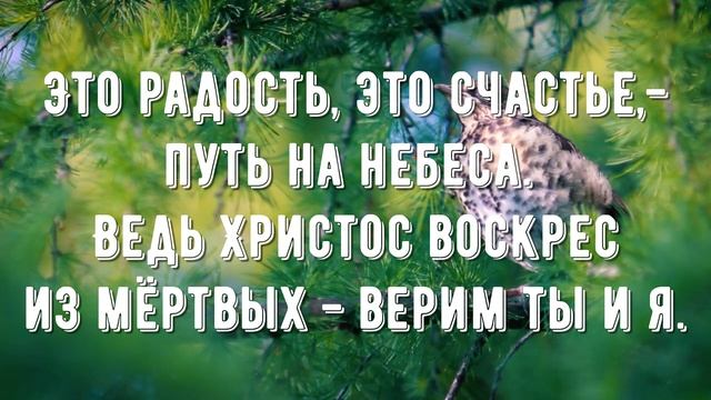 Возлюбил людей Спаситель - минус мой 2-2