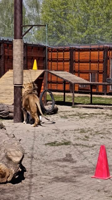 Шерхан одобрил