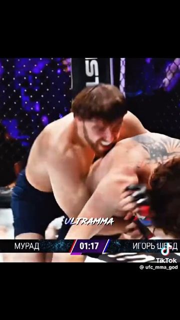 Мурад против Шведа