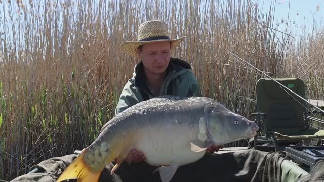 Рыбалка на огромного карпа Carpfishing